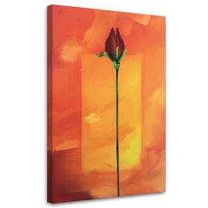 Leinwandbilder Rote Rose Blume Natur 40 x 60 cm