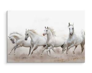 Image Sur Toile Chevaux au Galop Sable 120 x 80 x 80 cm