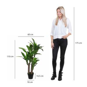 Kunstpflanze Dracaena Höhe: 110 cm