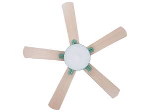 Ventilateur de plafond HOBBLE Vert - Menthe - Chêne clair