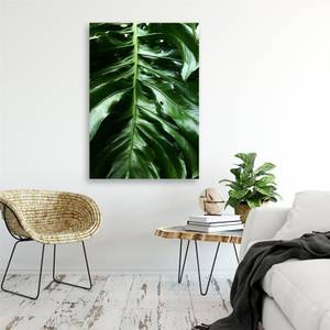 Wandbild Monstera Blatt Natur Tropisch 70 x 100 cm