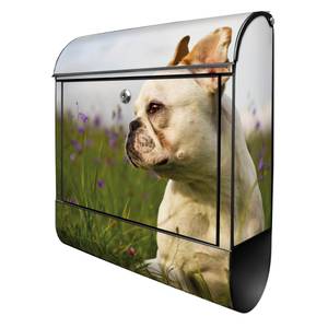 Briefkasten Stahl Französische Bulldogge Schwarz - Metall - 38 x 46 x 13 cm