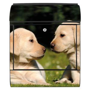 Briefkasten Stahl Labrador Schwarz - Metall - 38 x 46 x 13 cm