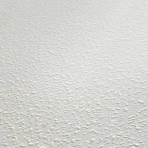 Überstreichbare Tapete Raufaseroptik Weiß - Kunststoff - Textil - 53 x 1005 x 1 cm