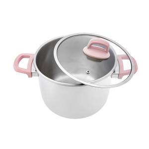 Schnellkochtopset Perfect Pink (2er Set) Pink - Silber - Metall - 30 x 40 x 30 cm