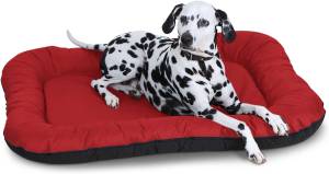 In und Outdoor Hundebett Lucky Rot - 105 x 14 x 140 cm