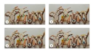 Tableau peint Curious Flock of Goats Marron - Blanc - Bois massif - Textile - En partie en bois massif - 100 x 50 x 4 cm