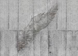 Fototapete Concrete Feather 611642 Grau - Naturfaser - Textil - 350 x 250 x 250 cm