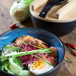 SOLID Ramen Schüssel mit Deckel 600ml Blau