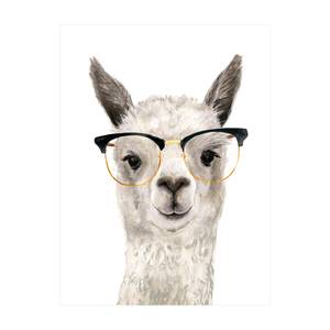 Hippes Lama mit Brille I 225 x 300 cm
