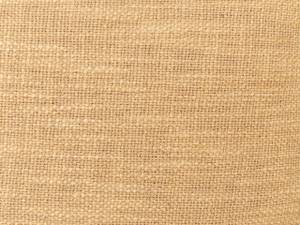 Coussin décoratif OLEARIA Beige