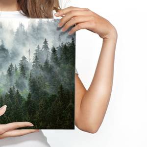 Leinwandbild Wald im Nebel Landschaft 3D 40 x 30 x 30 cm