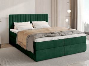 Boxspringbett DREAM Grün - Breite: 160 cm