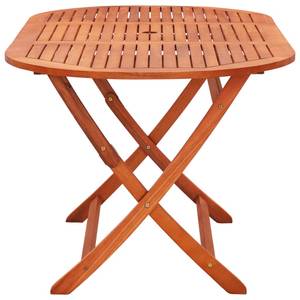 Garten-Essgruppe (9-teilig) 3087156 Braun - Massivholz - Holzart/Dekor - 85 x 75 x 160 cm