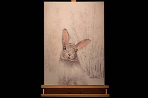 Tableau peint Delicate Snow Hare Beige - Bois massif - Textile - 50 x 70 x 4 cm