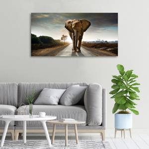 Wandbild Elefant 100 x 50 cm