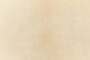 Tapis de passage Darya CCCLXXXVII Beige - Textile - 81 x 1 x 300 cm