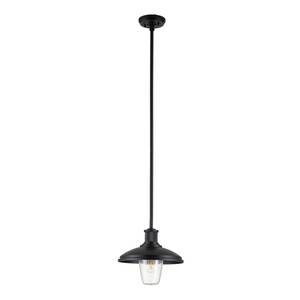 Kichler Lampe suspendue extérieure Noir - Verre - 31 x 37 x 31 cm