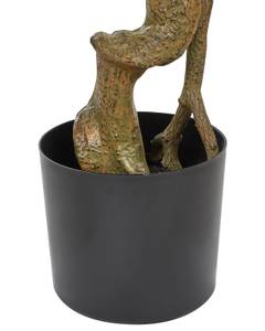 Plante artificielle RUSCUS TREE Noir - Vert - Matière plastique - 80 x 166 x 80 cm