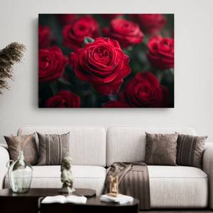 Bild Rose Blumen VII 70 x 50 x 70 cm