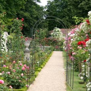 Arche à rosier Arceau jardin Noir - Métal - 116 x 228 x 37 cm