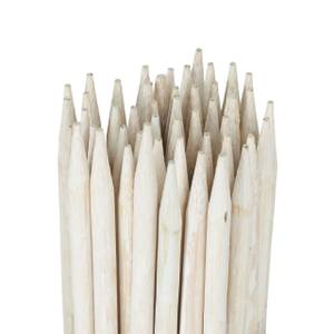 50 x Pflanzenstab 60 cm Weiß - Bambus - Metall - 1 x 60 x 1 cm