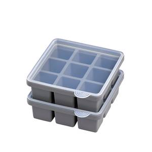 APS 2er Set Eiswürfelform Grau - Kunststoff - 16 x 6 x 16 cm