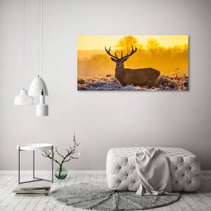 Wandbild Hirsch Sonnenaufgang 120 x 60 cm