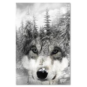 Wandbilder Wolf Wald Nebel Natur Tiere 80 x 120 cm