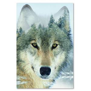 Wandbild Wolf Wald Nebel Natur Tiere 80 x 120 cm