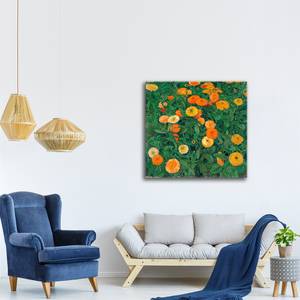 Leinwandbild Ringelblumen Textil - 2 x 60 x 60 cm