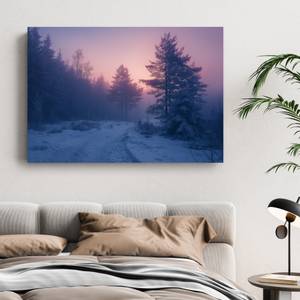 Bild Winter Landschaft IX 70 x 50 cm