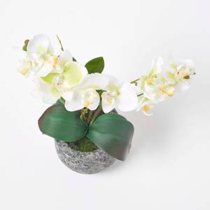 Künstliche weiß-grüne Phalaenopsis kaufen | home24