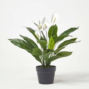 Kunstpflanze Spathiphyllum Wallisii 16 x 60 x 60 cm