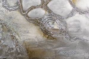 Acrylbild handgemalt Snakeskin Beige - Braun - Massivholz - Textil - 120 x 60 x 4 cm