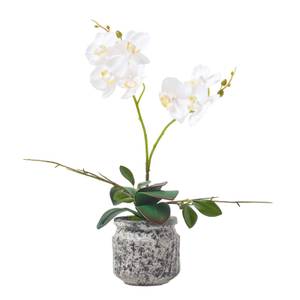 Künstliche weiß-gelbe Phalaenopsis Weiß - Kunststoff - 20 x 42 x 42 cm