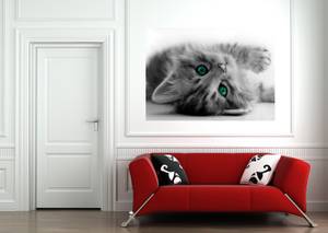 Poster Katze Grau - Naturfaser - Textil - 160 x 110 x 110 cm