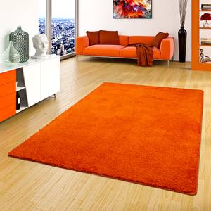 Hochflor Shaggy Teppich Palace Orange - 100 x 200 cm