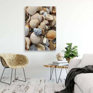 Bild auf leinwand Muscheln Steine Meer 60 x 90 cm