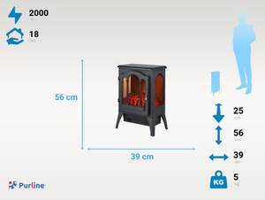 Elektrischer Kamin CHE-220 Schwarz - Glas - 39 x 56 x 25 cm