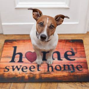Fußmatte Home Sweet Home 60 x 40 cm Schwarz - Orange - Rot - Kunststoff - Textil - 60 x 1 x 40 cm