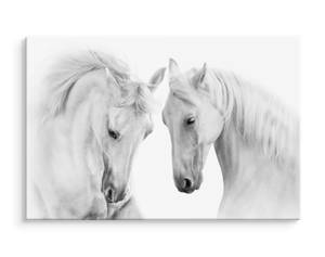 Impression Sur Toile Chevaux Animaux 3D 70 x 50 x 50 cm