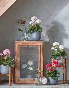Plante artificielle Géranium Rose foncé - Pierre - Textile - 20 x 34 x 20 cm