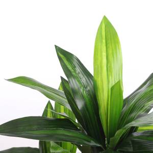 Kunstpflanze Dracaena Grün - Kunststoff - 60 x 110 x 60 cm