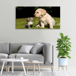 Wandbild Hund Katze Wiese 100 x 50 cm