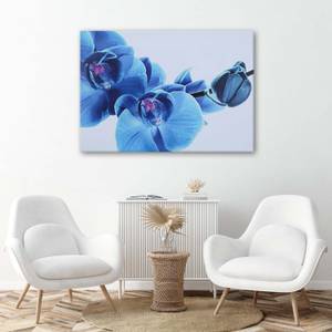 Bild auf leinwand Orchidee Blau Blumen 90 x 60 cm