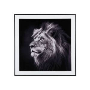 Cadre et photo d'art noir et blanc Lion Noir - Verre - 2 x 50 x 50 cm