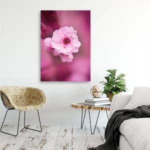 Leinwandbild Rosa Blumen 40 x 60 cm