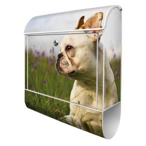 Briefkasten Stahl Französische Bulldogge Weiß - Metall - 38 x 46 x 13 cm