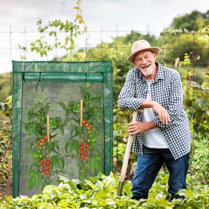 Tomatengewächshaus für Garten und Balkon Dunkelgrün - Grün